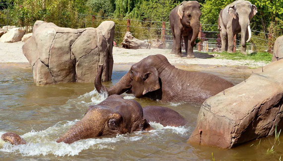 Allwetterzoo Münster