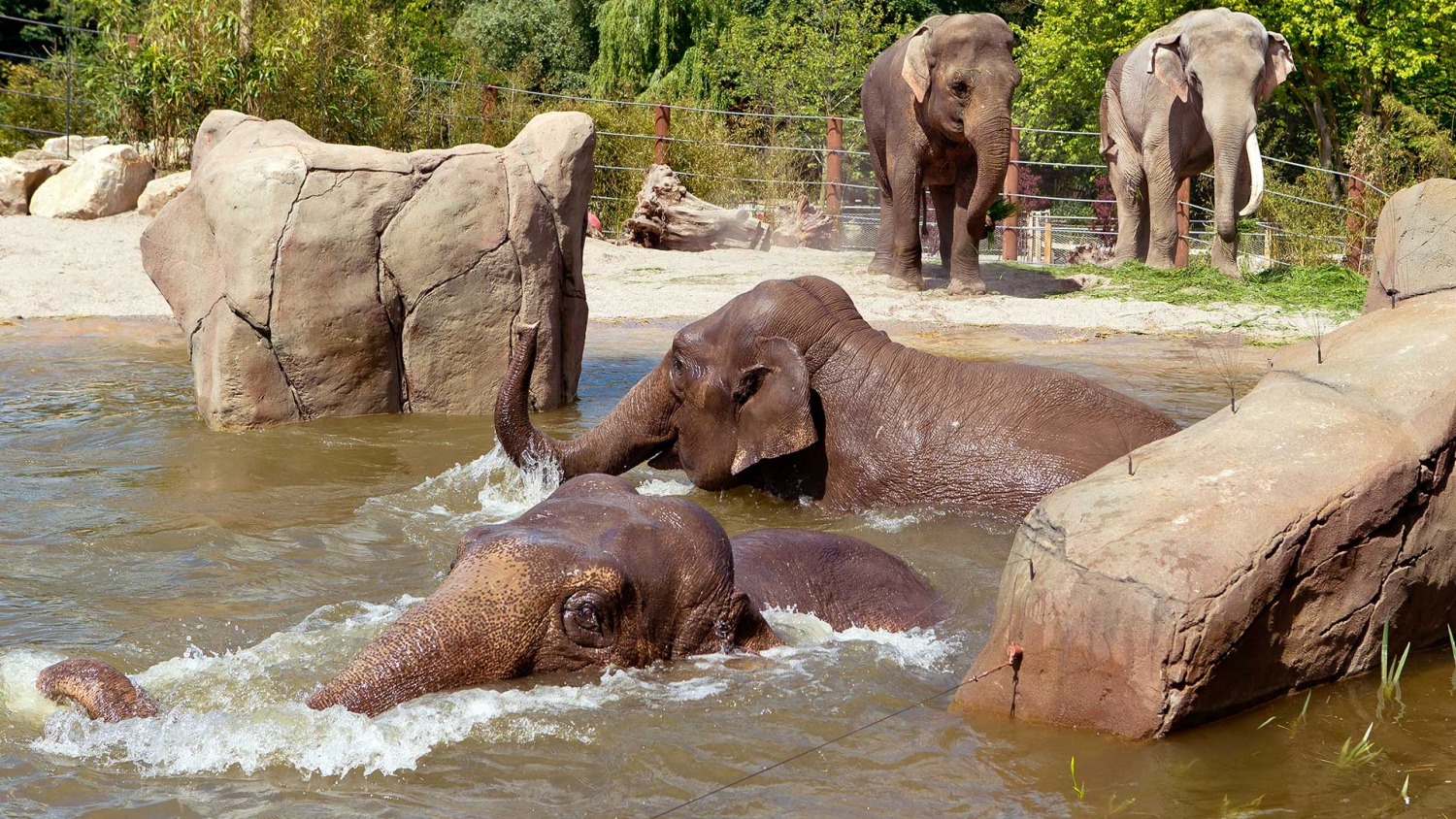 All Weather Zoo Münster