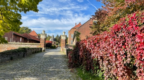 Wilkinghege Herbst Herbst Wilkinghege
