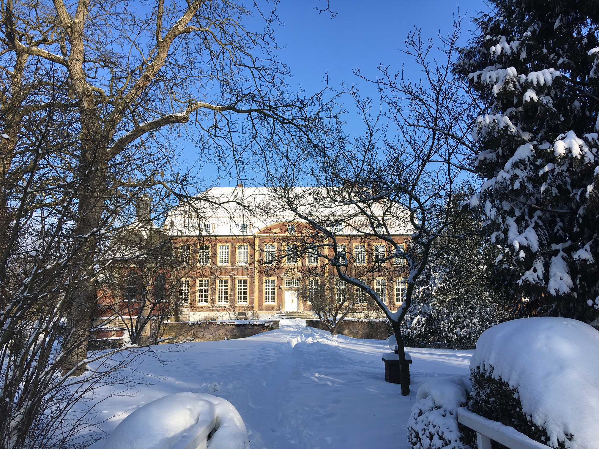Kreativ angerichtetes Gourmetgericht mit gebratenem Fleisch, gegrillter Zwiebel, Brokkoli, grüner Sauce und verschiedenen Cremes